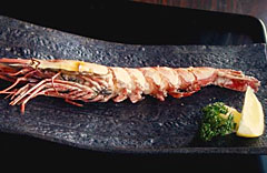 <<Jumbo-size wild shrimp, broiled with salt
